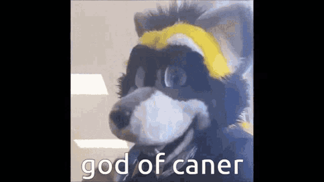 a furry dog is wearing a mask and a yellow headband and says god of caner .