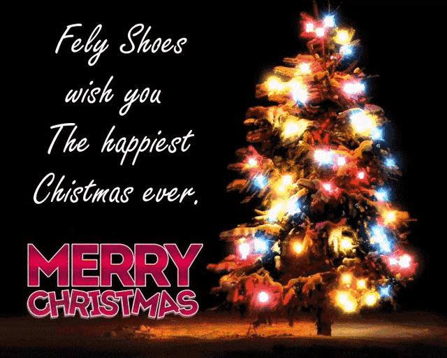 a picture of a christmas tree with the words fely shoes wish you the happiest christmas ever merry christmas