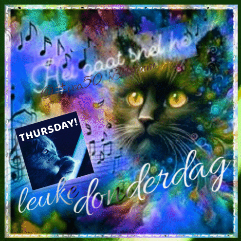 a picture of a cat with the words thursday leuke donderdag on it
