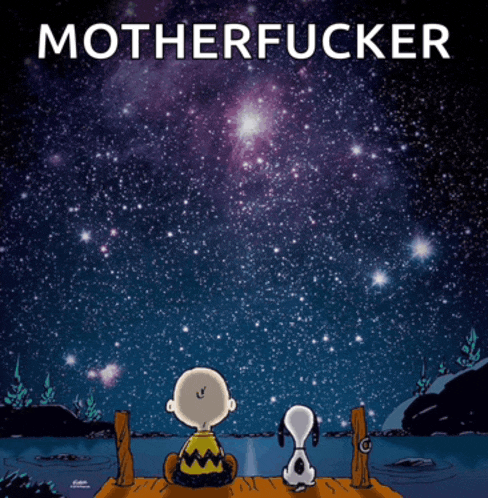 a cartoon of charlie brown and snoopy sitting on a dock looking at the night sky with the words motherfucker above them