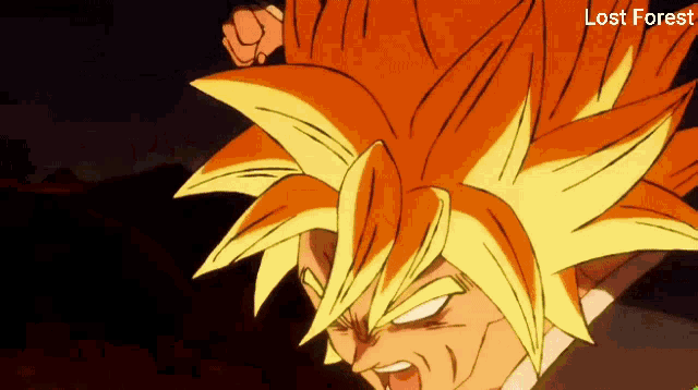 a close up of a cartoon character 's face with the words lost forest below it