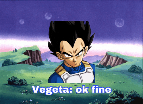 a picture of vegeta from dragon ball z with the caption vegeta ok fine