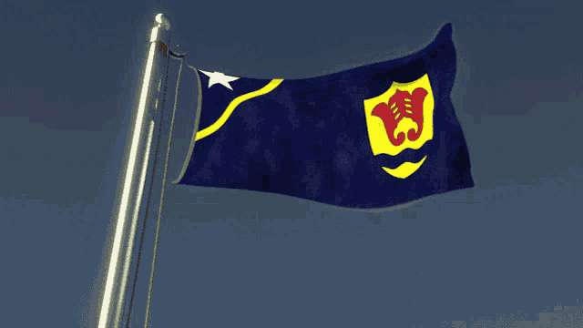a blue flag with a yellow shield and a star