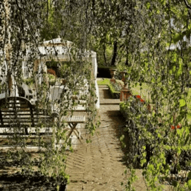 a path with a bench and a table in the middle of it