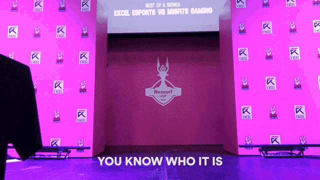 You Know Who It Is Jake Howlett GIF - You Know Who It Is Jake Howlett Excel Esports GIFs