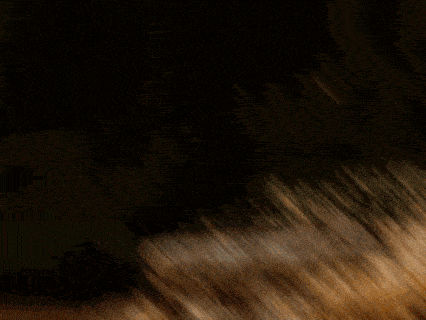 a picture of a crocodile with the words shut up by kalia is written below it