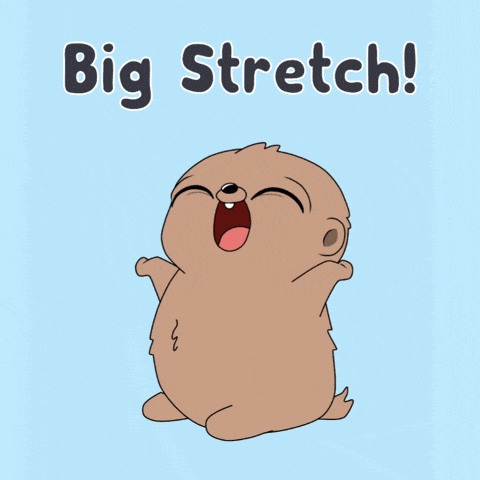 a cartoon sloth says big stretch on a light blue background