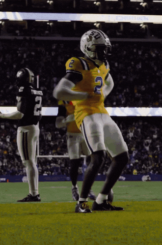 a football player with the number 2 on his jersey stands on the field