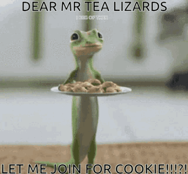 Tea Lizard GIF - Tea Lizard Cookies GIFs