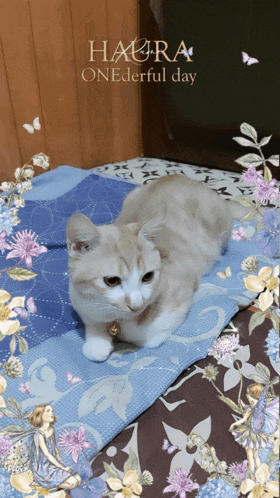 a cat is laying on a blanket with the words haura onederful day on the bottom