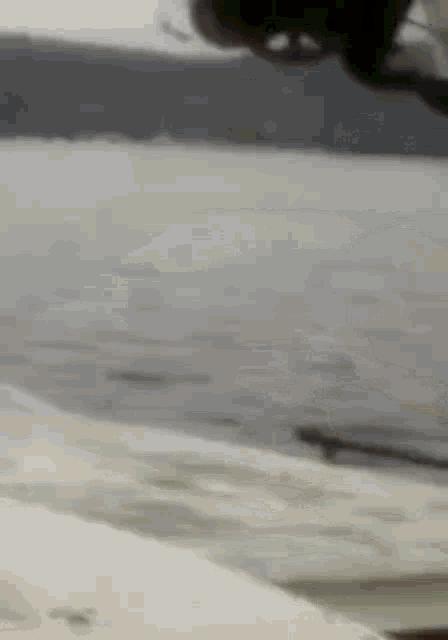 a person is doing a trick on a skateboard in the water .