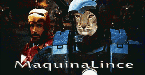 a man and a cat are standing next to each other with the words maquinalince below them