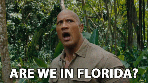 Are We In Florida Florida GIF - Are We In Florida In Florida Florida GIFs