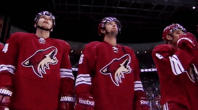 a group of hockey players wearing red jerseys with a coyote on the front