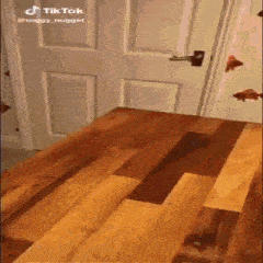 a wooden floor with a door in the background
