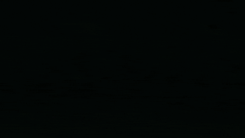 21 Xxi GIF