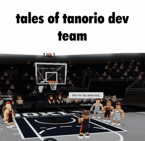 a basketball court with the words tales of tanorio dev team written on it