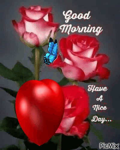 a picture of roses and a heart with the words good morning have a nice day on it