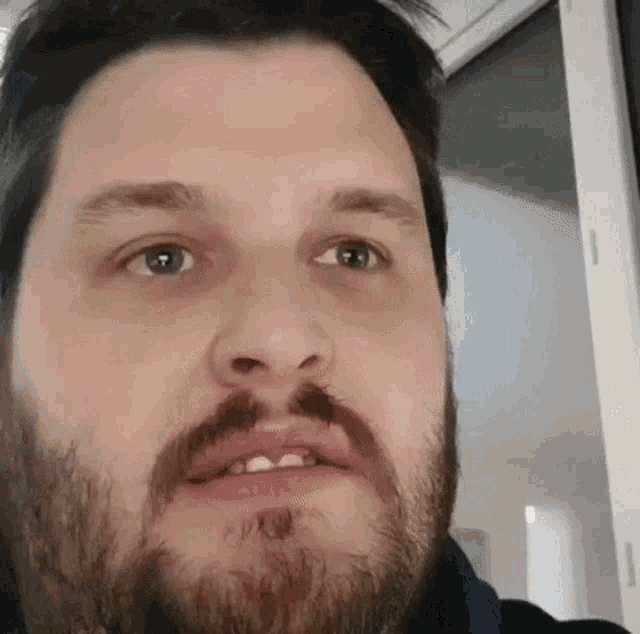 a man with a beard and mustache is looking at the camera .