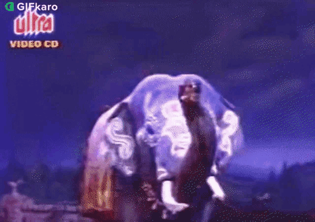 a video of an elephant is being displayed on a cd