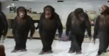 Monkeydance GIF - Monkeydance GIFs