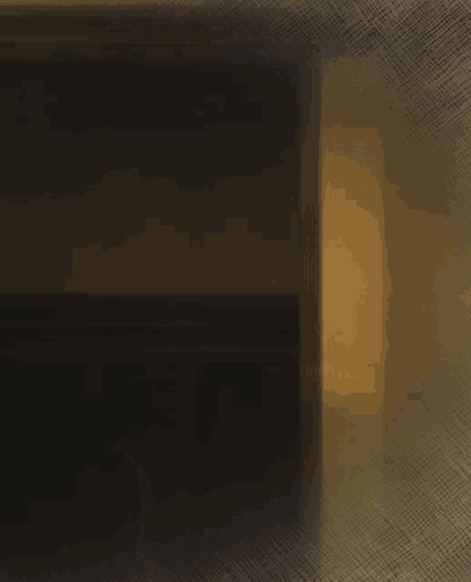 a woman in a brown vest is walking in a dark room