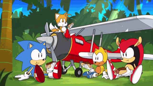 Sonic Sonic The Hedgehog GIF - Sonic Sonic The Hedgehog Chillidog GIFs