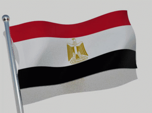Egypt Flag GIF - Egypt Flag Flag Waver GIFs