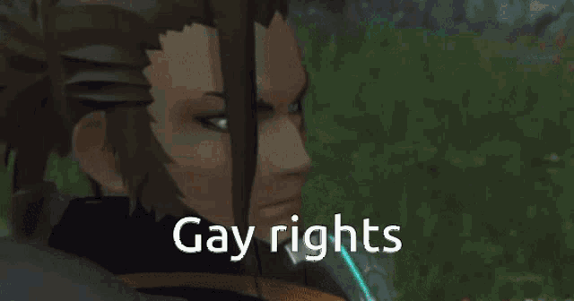 a video game character is standing in a field with the words gay rights written below her