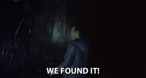We Found It Discovered GIF