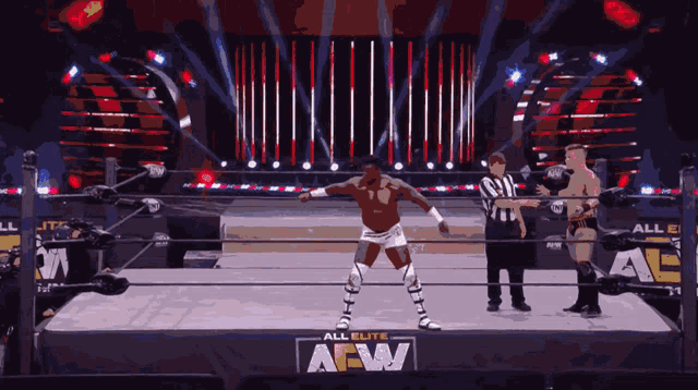 a wrestler in a ring with the word all elite aew on it