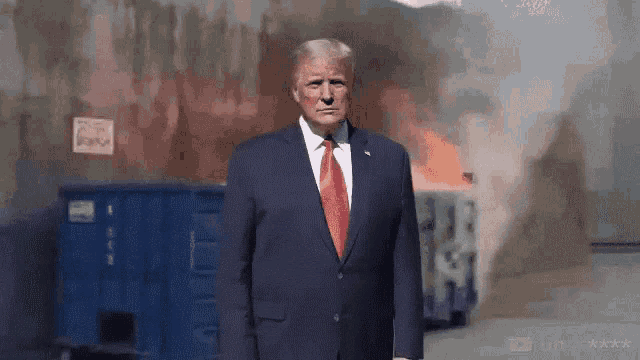 Donald Trump Dumpster Fire GIF - Donald Trump Dumpster Fire Trump GIFs