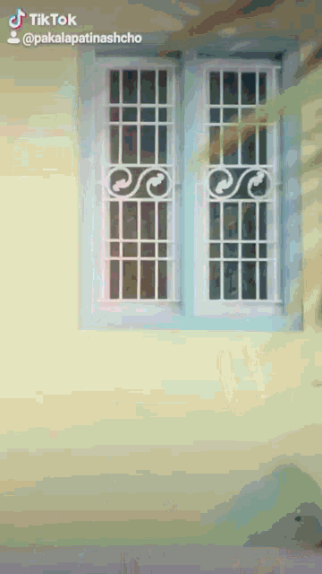 a tiktok video of a window with a wrought iron design