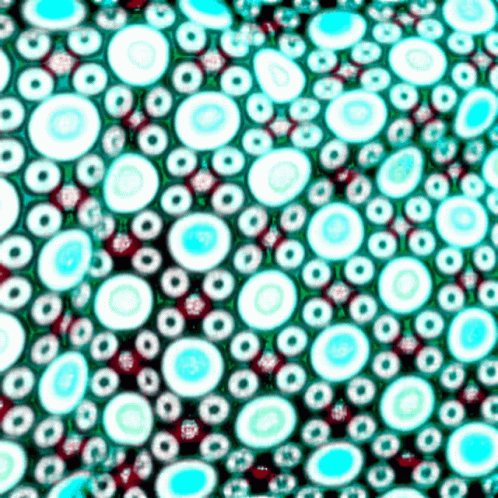 Bubbles Rythme GIF - Bubbles Rythme Psychedelik GIFs