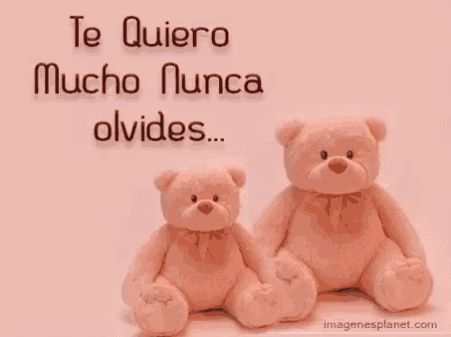 two teddy bears are sitting next to each other with the words te quiero mucho nunca olvides in the background