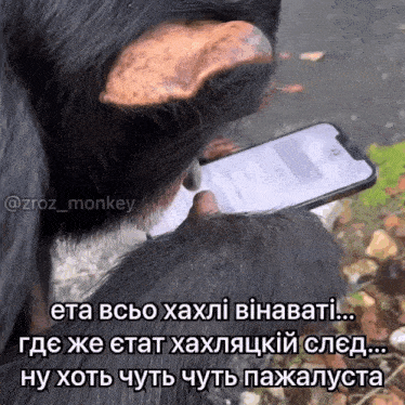 a close up of a monkey 's paw holding a cell phone with a caption in a foreign language that says eta