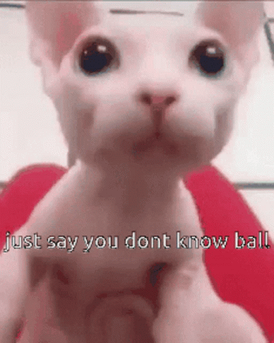 Just Say You Dont Know Ball Zaxbyssauce GIF - Just Say You Dont Know Ball Zaxbyssauce Nbachat GIFs