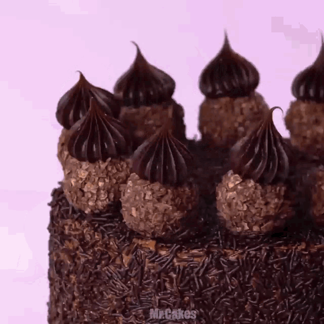 a close up of a chocolate cake with sprinkles and chocolate covered balls