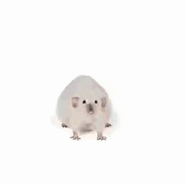 a white hamster is standing on top of a grass covered field .