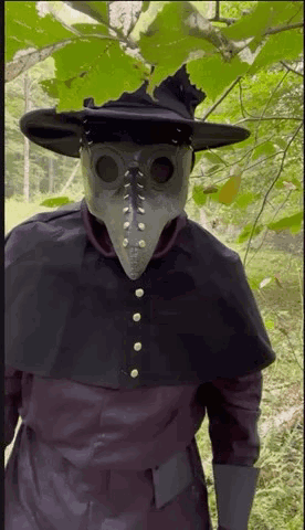 Gtwymer Plague Doctor GIF - Gtwymer Plague Doctor Halloweentime GIFs