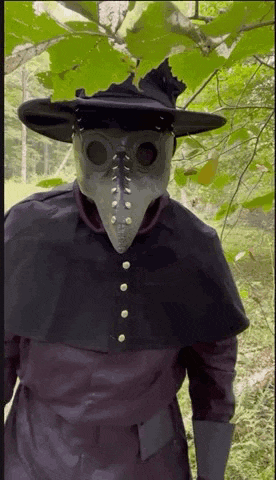 a man in a plague doctor costume is standing in the woods with trees in the background .