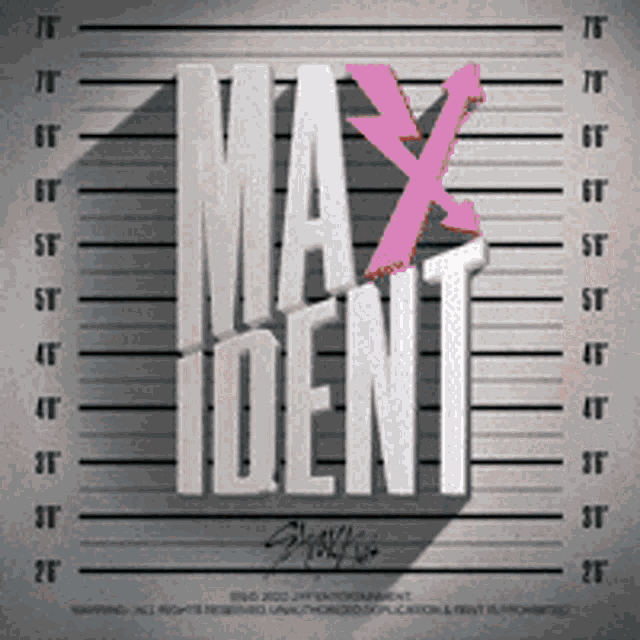 Maxident Skz GIF - Maxident Skz Stray Kids GIFs