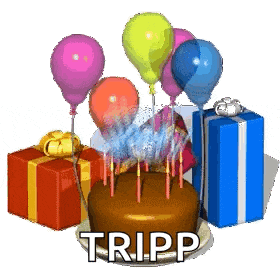 a birthday cake with candles and balloons surrounded by gifts and the word tripp on the bottom