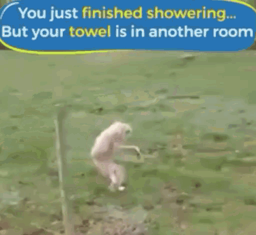 Monkey When You Forget Your Towel GIF