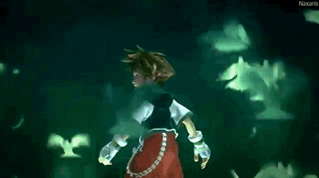 sora from the video game kingdom hearts is surrounded by green birds .