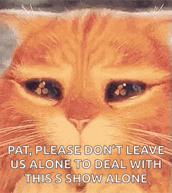 Puss In Boots Cat GIF