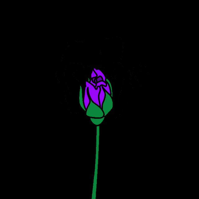 a purple rose with a green stem is on a black background