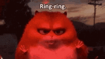 a red cat with a ring on its head is standing in front of a red background .