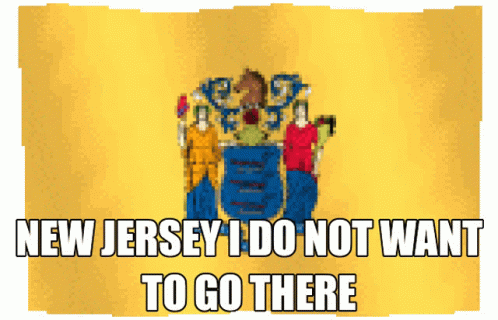 New Jersey Flag GIF - New Jersey Flag Lad GIFs