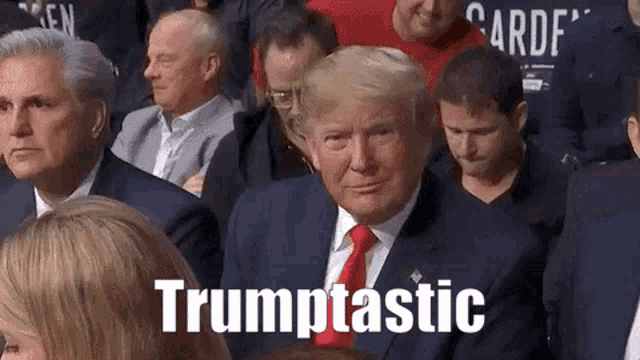 Donald Trump Trumptastic GIF - Donald Trump Trumptastic Thumbs Up GIFs